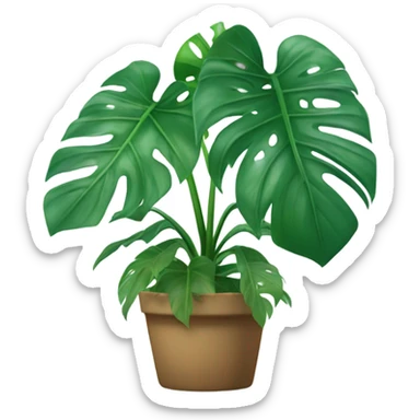 Monstera Plant sticker