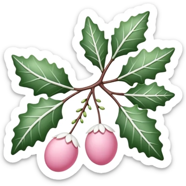pink mistle toe with white leaves sticker