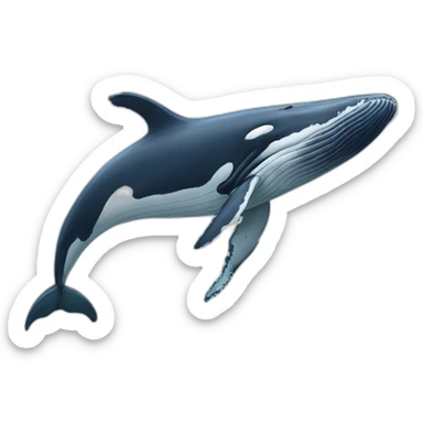 Humpback whale sticker