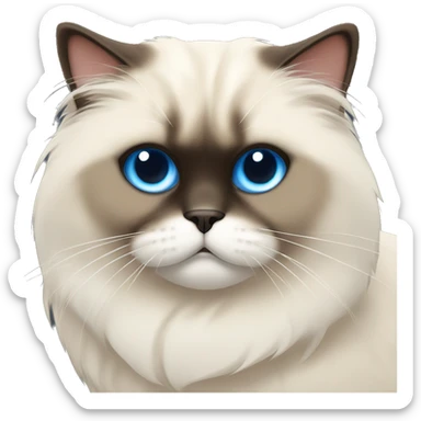 himalayan cat with brown ears brown nose laying down with big blue eyes sticker