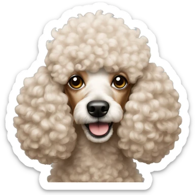 Abricot poodle  sticker