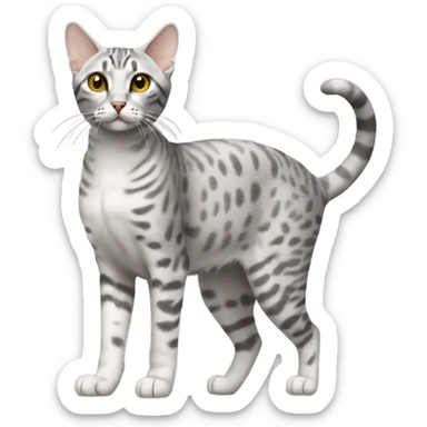 Egyptian Mau cat walking sticker