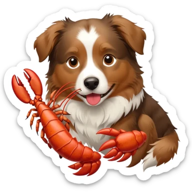 australian shepherd dog eating a lobster sticker