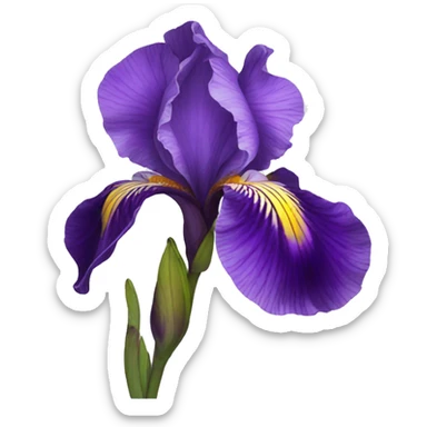Violet iris flower sticker