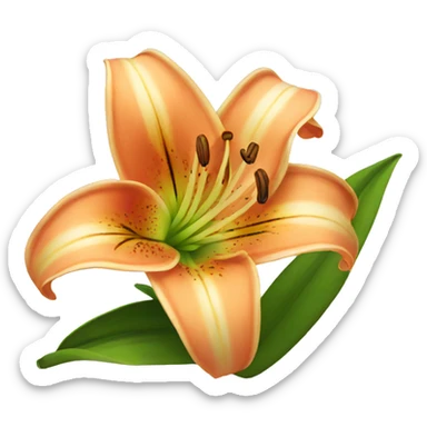 lily sticker