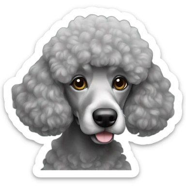 Grey French poodle  sticker