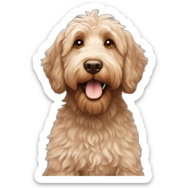 Australian labradoodle sticker
