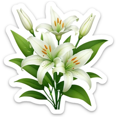 bouquet White Lily, luxuriant, stem, leaf, bud sticker