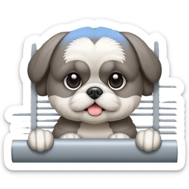cute all grey shih tzuh behind window blinds pulling them open with one paw and PEEKING through the slit between the blinds sticker