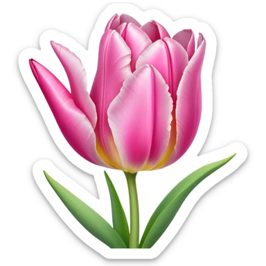 Pink ribbon tulip sticker
