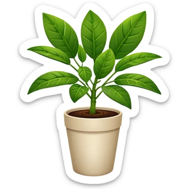 coffee houseplant sticker