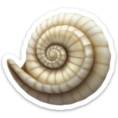 spiral shell sticker
