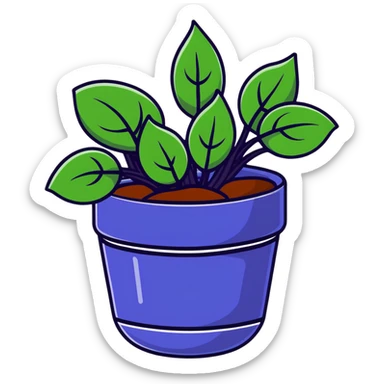 Young Plectranthus Verticillatus sprouts with perfectly circular penny-shaped leaves in a modern metallic planter sticker