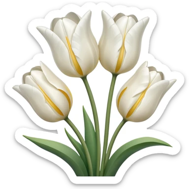 White tulips  sticker