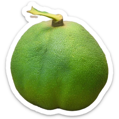 Breadfruit sticker