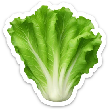 Lettuce sticker