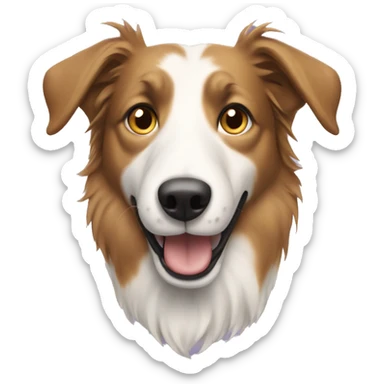 Short hair collie sticker