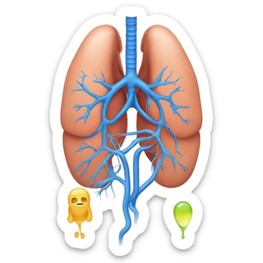 respiratory system and endocrine system sticker