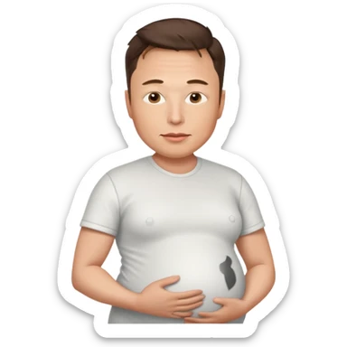 elon musk pregnant  sticker
