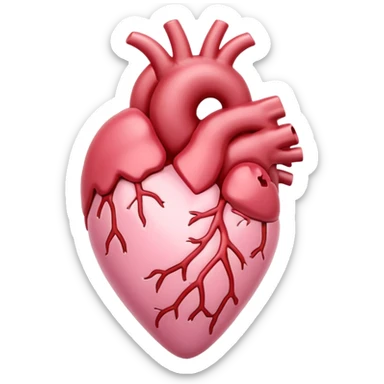 anatomical heart, pastel light pink, iOS emoji style, variation 3 sticker
