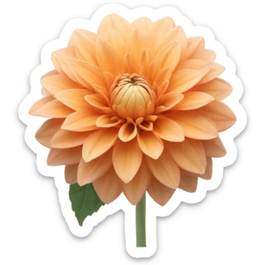 Dahlia flower in pastel orange color sticker