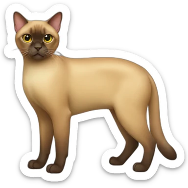 Burmese Cat Full Body sticker