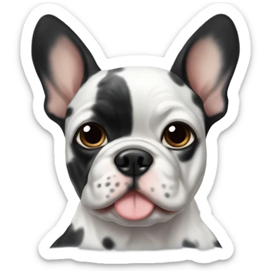 Black Merle frenchie  sticker