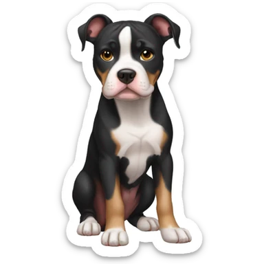 black tri color pitbull with cropped ears sticker