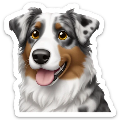 A spotted brindle, Australian Shepherd, white face with spots on the eyes and nose no other spots on the face or neck. The spots are gray and black. ￼ sticker