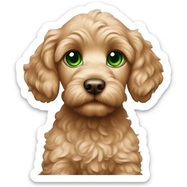 apricot cockapoo puppy with green eyes sticker