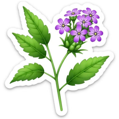 Verbena flower, leaf, bud, stalk sticker
