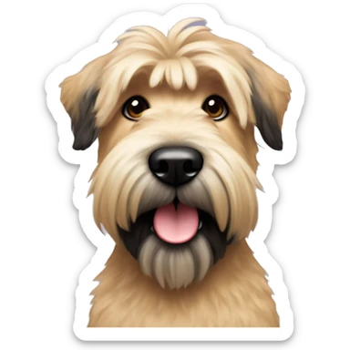 Wheaten terrier with long fluffy hair, black ears and black chin sticker