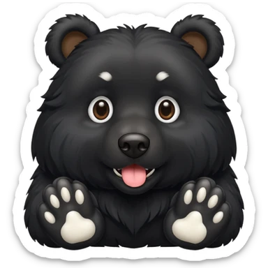 black dog with white paws looks like bear sticker