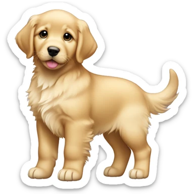 Light Golden retriever puppy female sticker