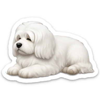 Coton de tulear dog sleeping sticker
