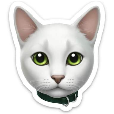 white cat with black spot next to his right ear, black tail and black spot in his back and dark green collar sticker
