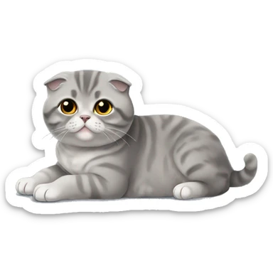 Gray Scottish fold laying sticker
