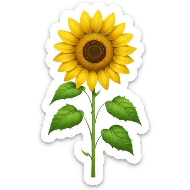 Girasol sticker