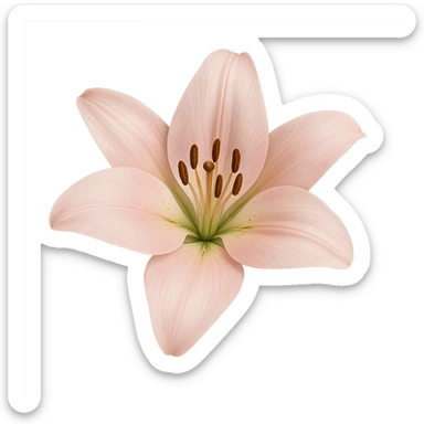 a realistic light pink lily with visible stamens and subtle gradients sticker