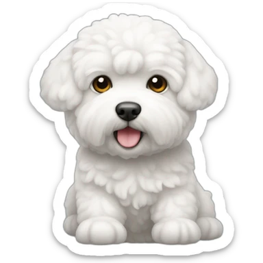 perro bichon blanco sticker