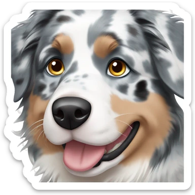blue merle australian shepherd with blue eyes sticker