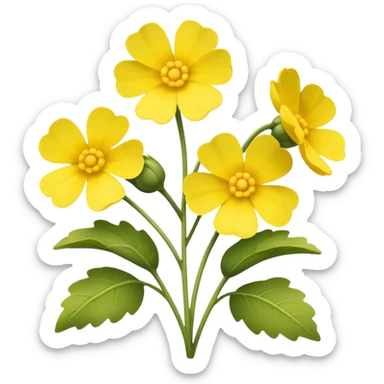 Canola sticker