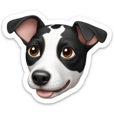 rat terrier colored like a black and white cow sticker