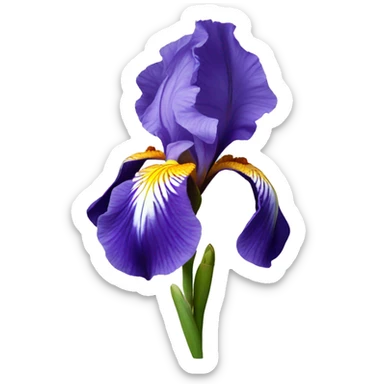 iris flower sticker