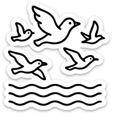 Cartoon coloring book for children. Fly over the sea birds of various species. Black and white line vector illustration. sticker