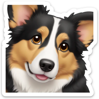 corgi mixed with a border collie black with light brown nose sticker