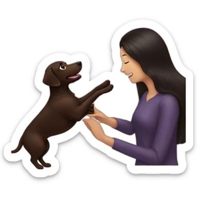 Chocolate labrador playing with woman long black hair sticker