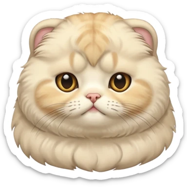 Scottish fold cream sticker