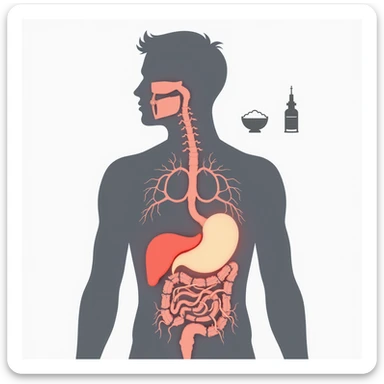 realistic illustration of a silhouette of a person with highlighted areas on pancreas and blood vessels, symbols of sugar and insulin, Italian text 'Diabete di tipo 2: attenzione alla salute', 4K quality sticker