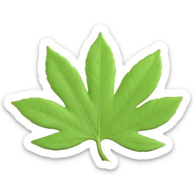 A single fresh green leaf lying on top of soil or ground. Natural lighting, soft shadows sticker